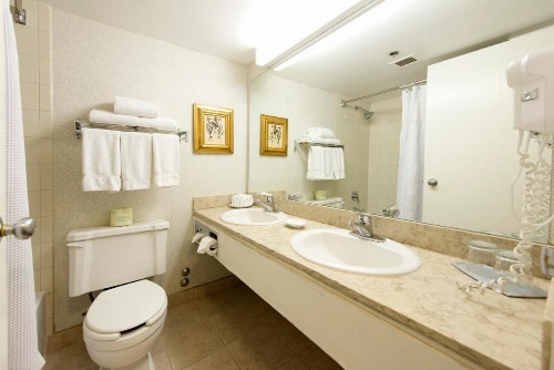 Toronto Don Valley Hotel and Suites image 21